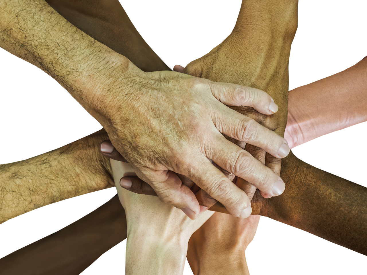 炸房器|蜜源平台招代理