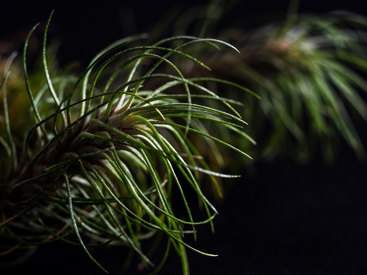 1彩2如何通过营销策略增加收入