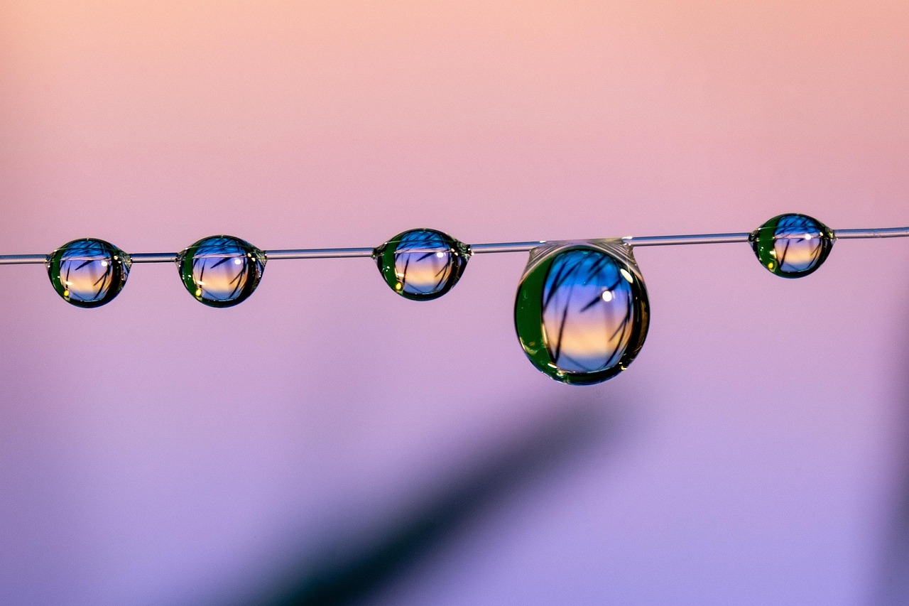 国外ddos攻击页端|北美菌种购买平台