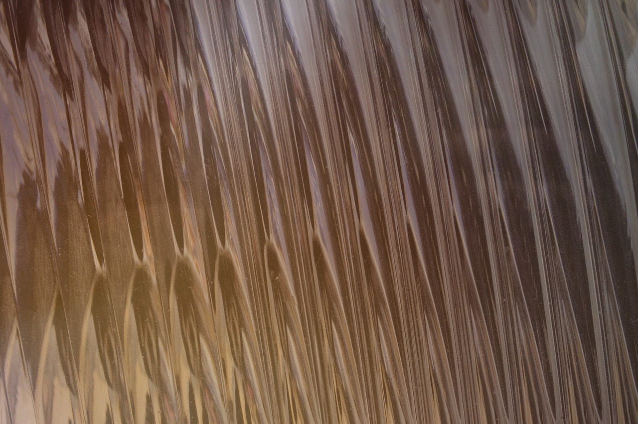 拉菲2怎么看到自己注册过的账号